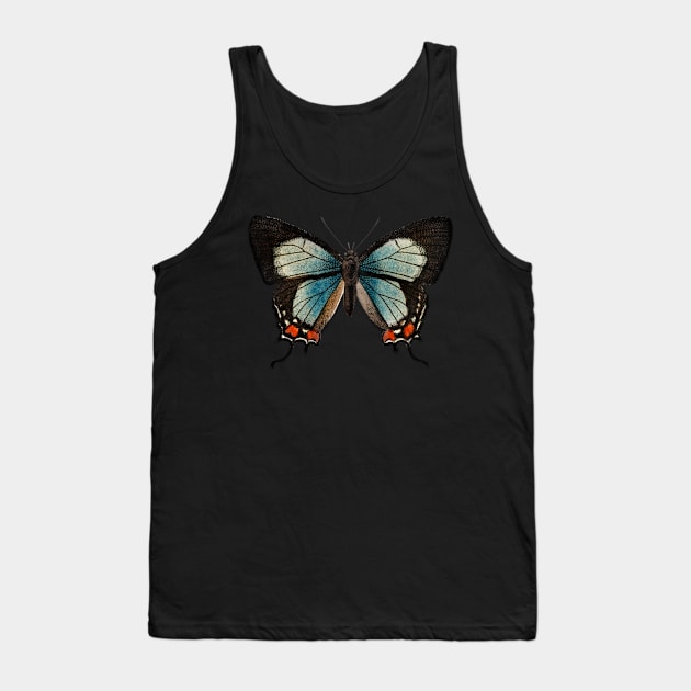 Thecla evagorus, Imperial hairstreak or Common imperial blue Tank Top by gdimido